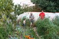 2010_08_07_cirque_ 021